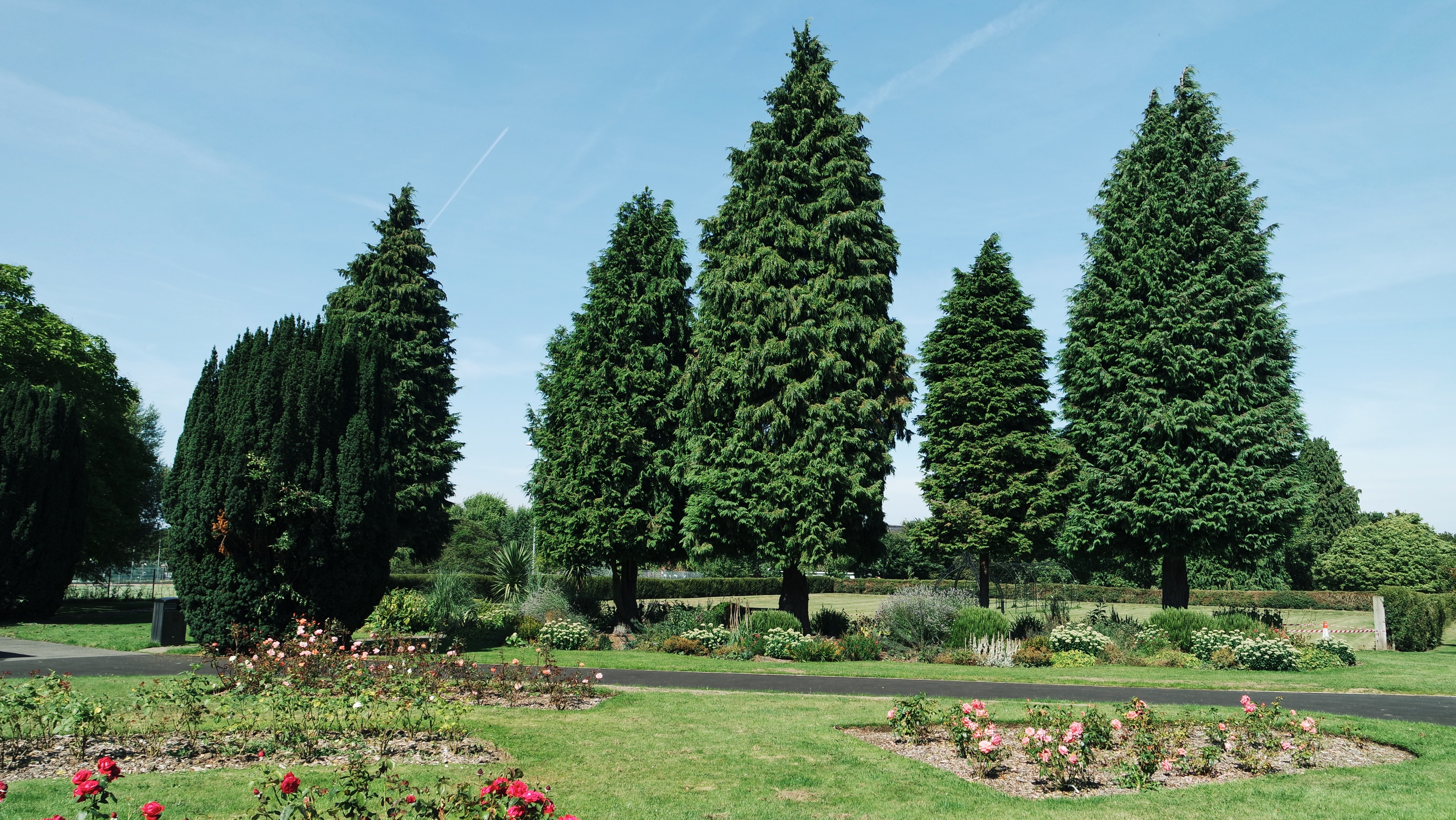 Come and picnic in a Maidstone park image
