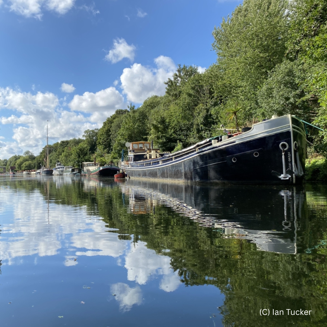 Should the River Medway be given rights?  image