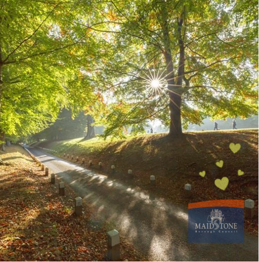 Maidstone parks awarded the coveted Green Flag Award image